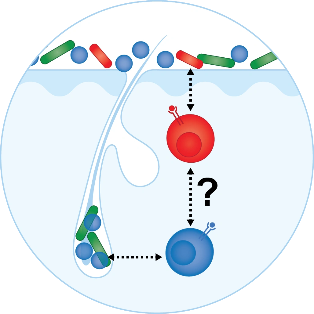 research_3